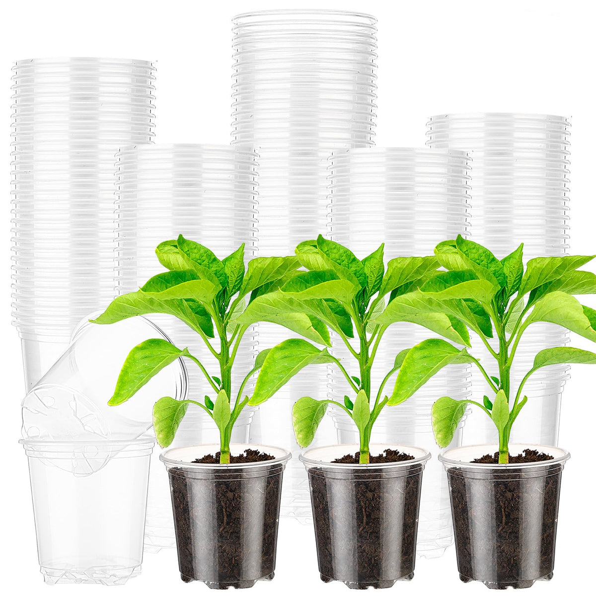 Baderke 150 Pcs Small Clear Nursery Pots for Plants Round for Seeds Starter Pots Mini Clear Plastic Plant Pots with Drainage Holes Transparent Seeds Germination for Plant Propagation (3.5 Inch)