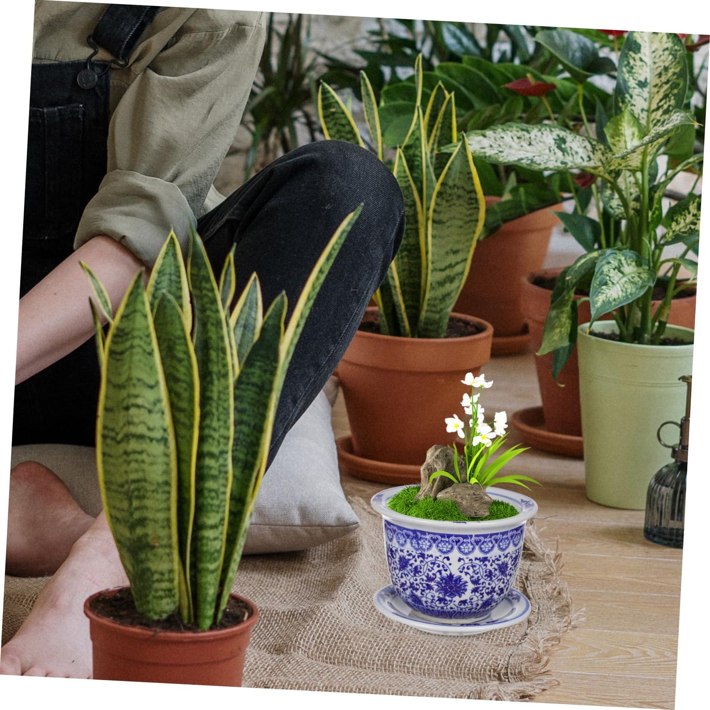 BESPORTBLE Blue and White Porcelain Decorative Flower Pot Ceramic Planter Pot with Drainage Hole and Saucer for Bonsai Plants Flower Aloe Indoor Home Decoration, 6.6 * 4.68in