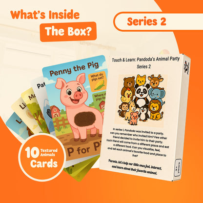 Touch & Feel Textured Animal Flashcards – Montessori Sensory Cards with Embossed Letters for Toddlers | Speech Development, Visual Learning, Travel and Autism-Friendly Play & Party Favors (Series 2)