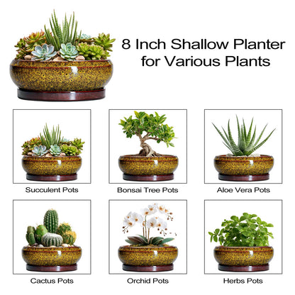 EPFamily Succulent Planters 8 Inch - Ceramic Bonsai Pots with Drainage Hole and Tray, Shallow Plant Pot Indoor Outdoor, Round Succulent Pots, Planter Bowl, Porch Decor, Housewarming Gifts, Yellow