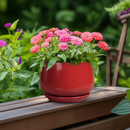 G EPGardening Ceramic Pot for Plants - 6 Inch Plant Pot with Drainage and Ceramic Tray, Modern Living Room Decor, Planter for Housewarming Gifts New Home, Red
