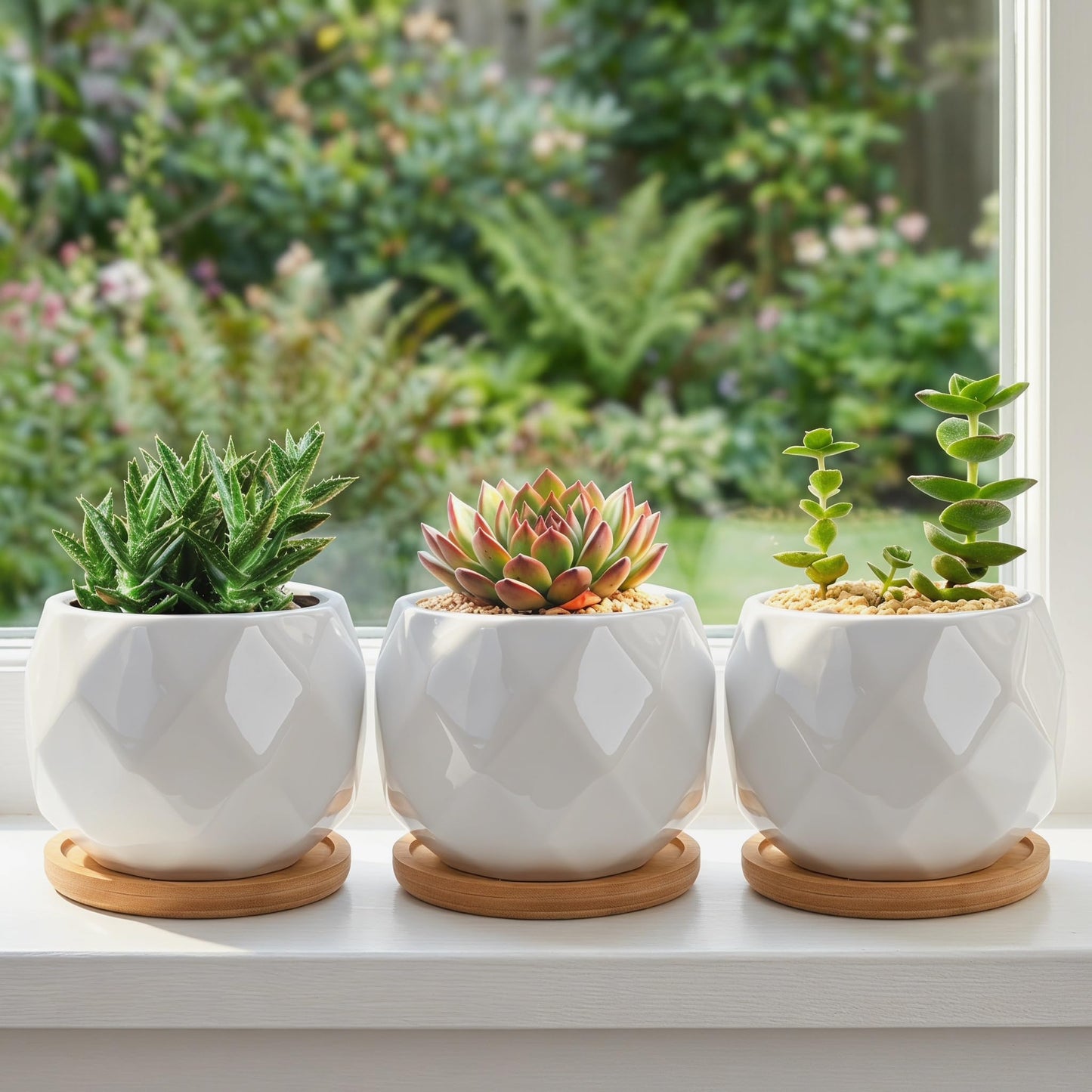 Jucoan 6 Pack Ceramic Succulent Planter Pot with Bamboo Tray, 4 Inch Small White Diamond Shaped Cactus Herb Flowers Planter with Drainage Hole for Indoor Home Office Decor