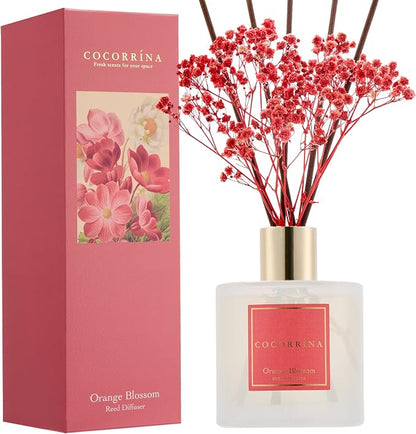 COCORRÍNA Reed Diffuser - Orange Blossom 6.76 Fl.oz Reed Diffuser Sets with Preserved Flowers, Diffuser with 8 Sticks for Bathroom Shelf Decor