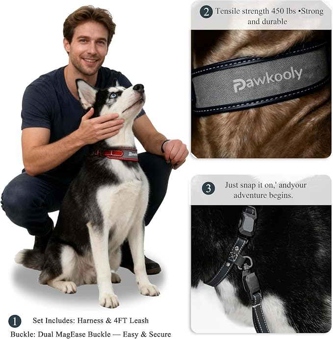 MagEase Dog Collar with 4FT Leash | Adjustable | Anti-Wrinkle, Bite & Stain-Resistant Leather | Soft & Skin-Friendly | 450LB Escape-Proof Magnetic Buckle (Navy Blue, Medium)