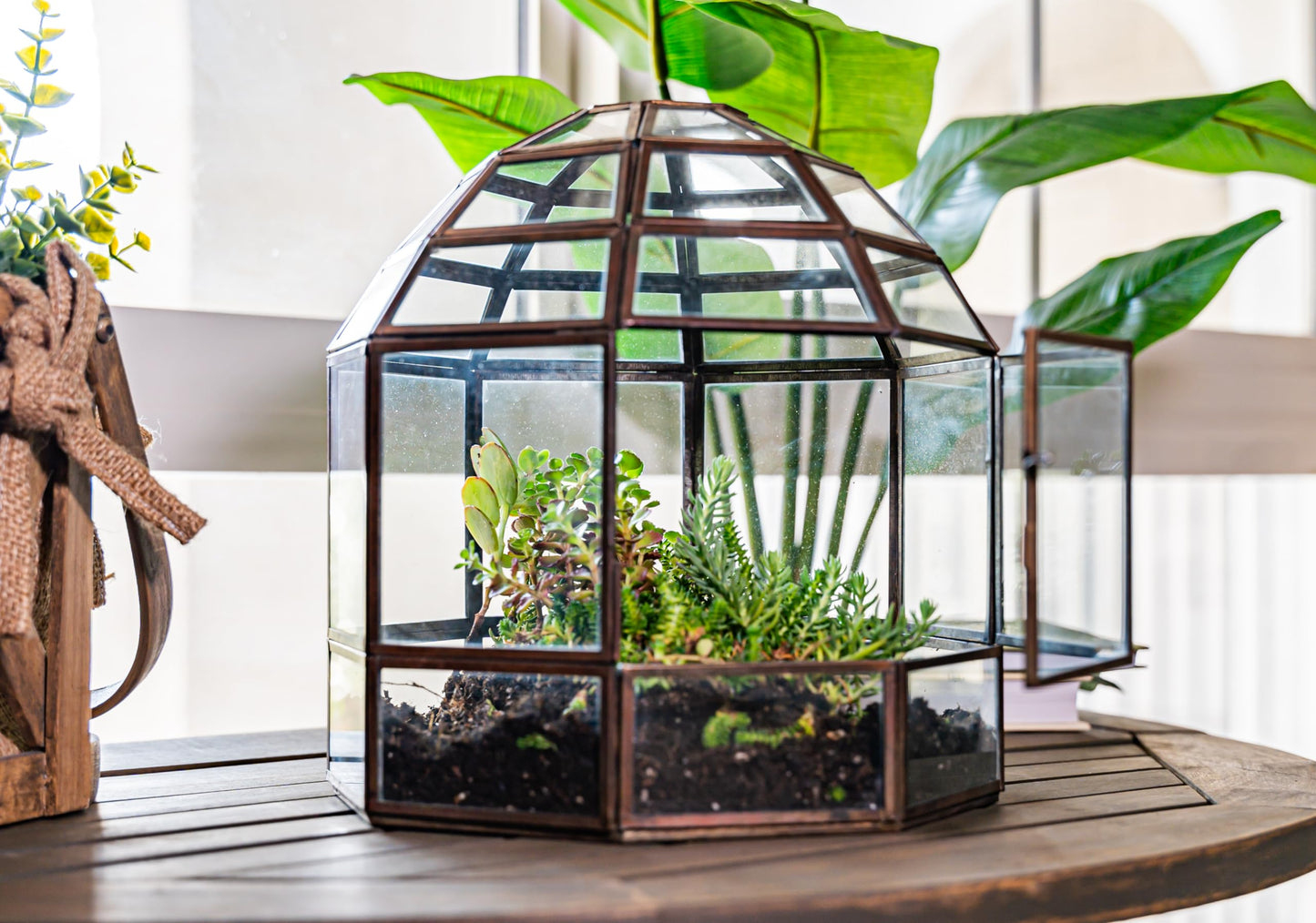 Urban Born Large Terrarium Birdcage, Glass and Metal Indoor Display Case, Unique Gift Idea, Succulent Container, Orchid Planter, Home Decor. (Bronze) 10" x 9"(Diameter)