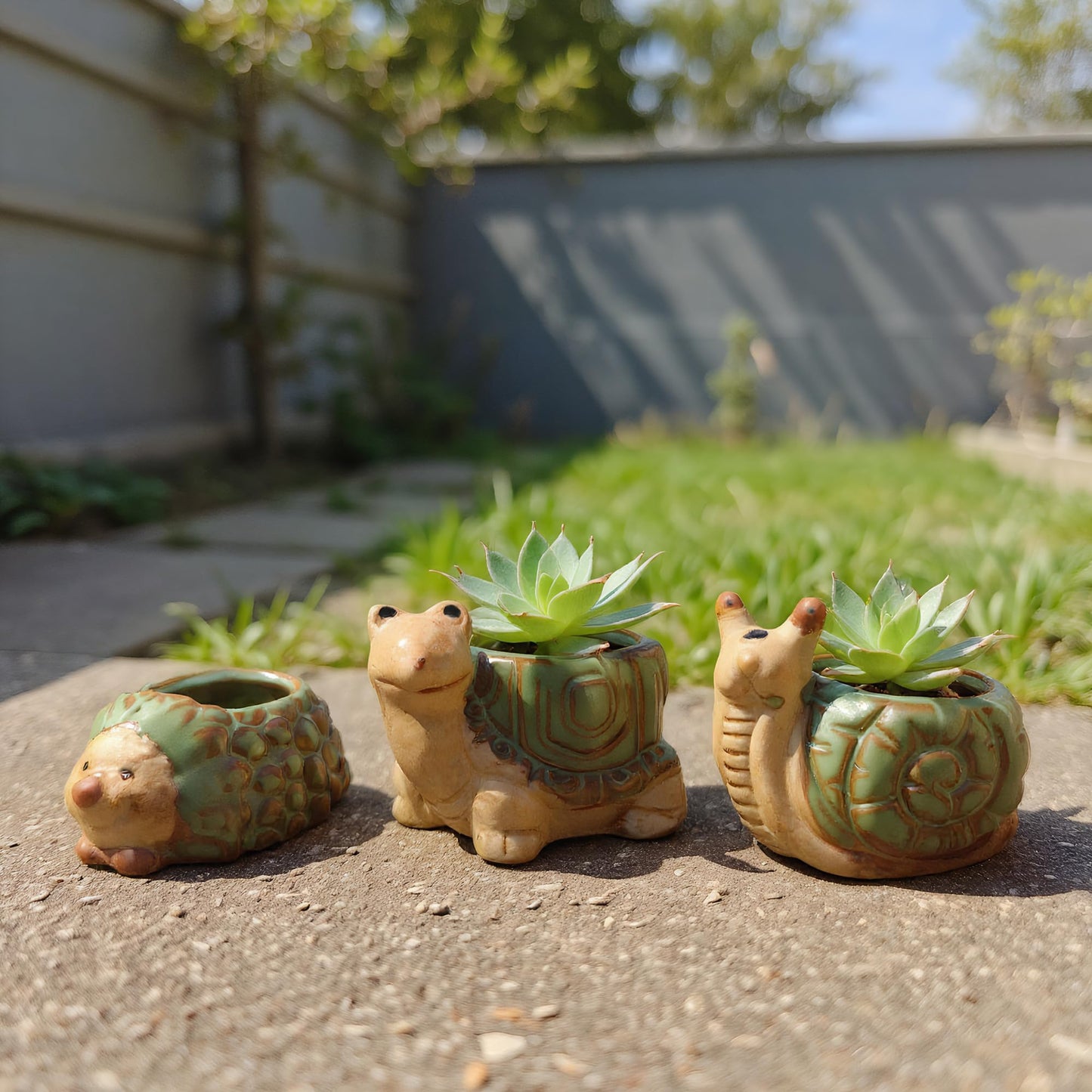 FMTITF Artistic Ceramic Animal Planter Pots & Figurines Set with Drainage Holes - Mini Succulent Planters, Lifelike Decorative Statues for Fairy Gardens & Home Decor Gifts (Hedgehog, Turtle, Snail)