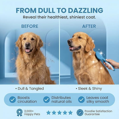 Round Bristle Pet Brush for Dogs and Cats - Soft Dog Brush for Grooming Short or Long Hair - Gentle Tool for Sensitive Skin Removes Dander, Dirt, and Detangles (Blue)