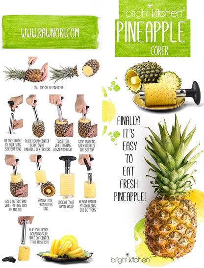 2 Pack Pineapple Slicers Corer Tools Stainless Steel Remove Peel Cut
