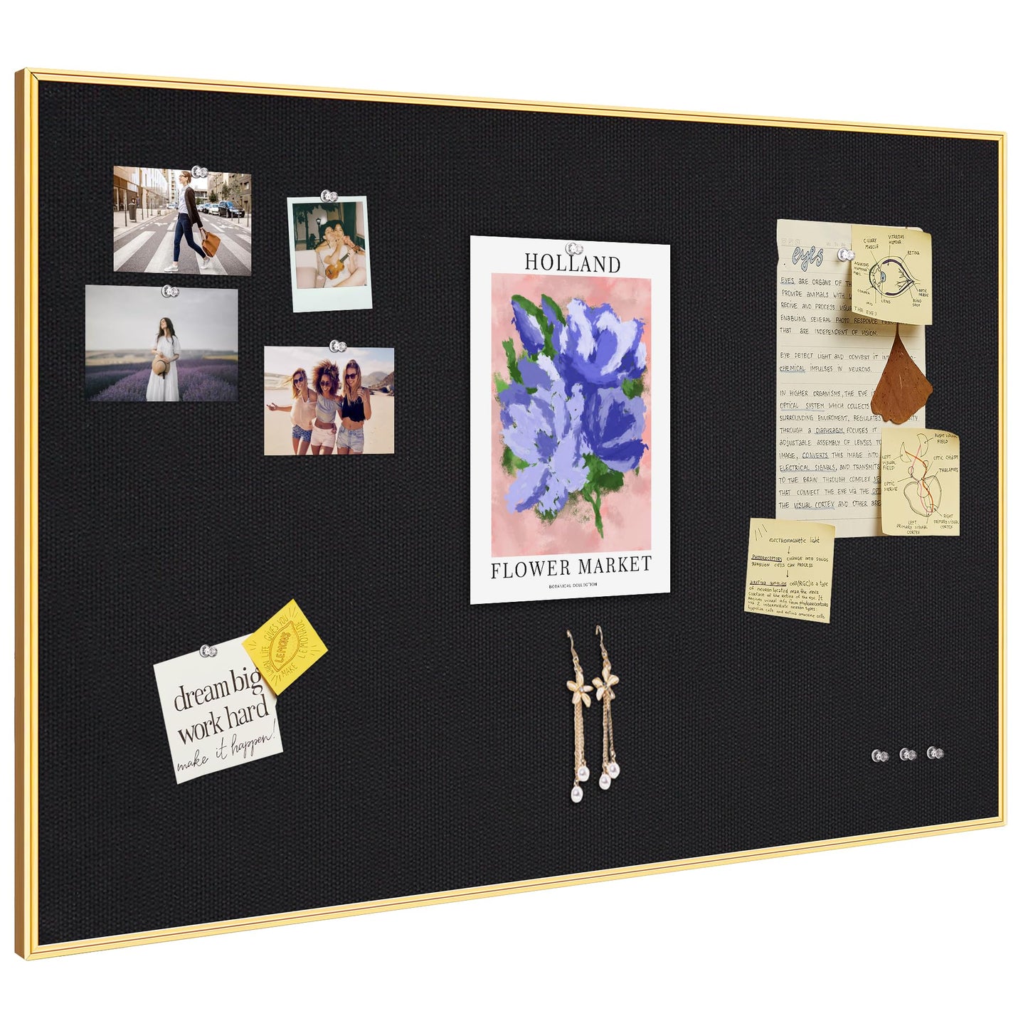 Lightomorrow Bulletin Board 30 x 20 inches, Black Pin Board, Golden Aluminum Framed Fabric Cork Board with 10 Push Pins