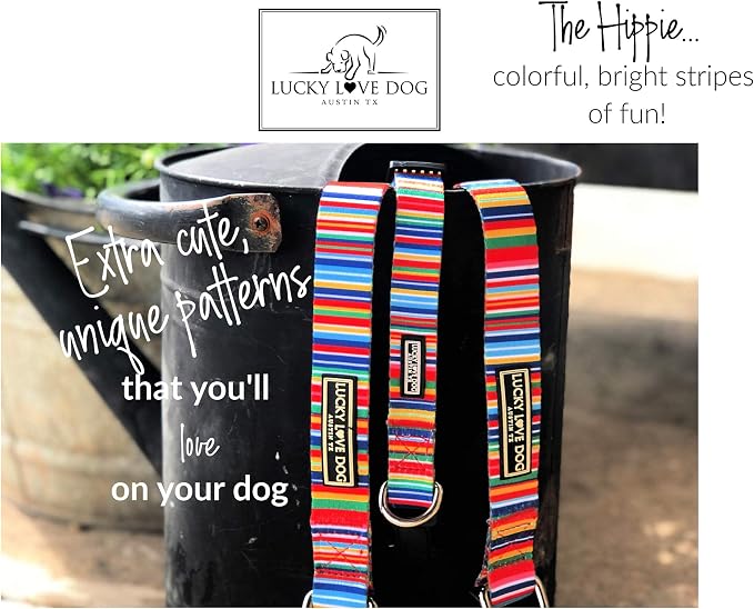 Lucky Love Dog - Easy Click Buckle Dog Collar with Leash Set Combo, Durable & Comfortable for Male & Female Dogs, Pet Collar for Medium Dogs, Secure Fit - Hippie Combo, Medium