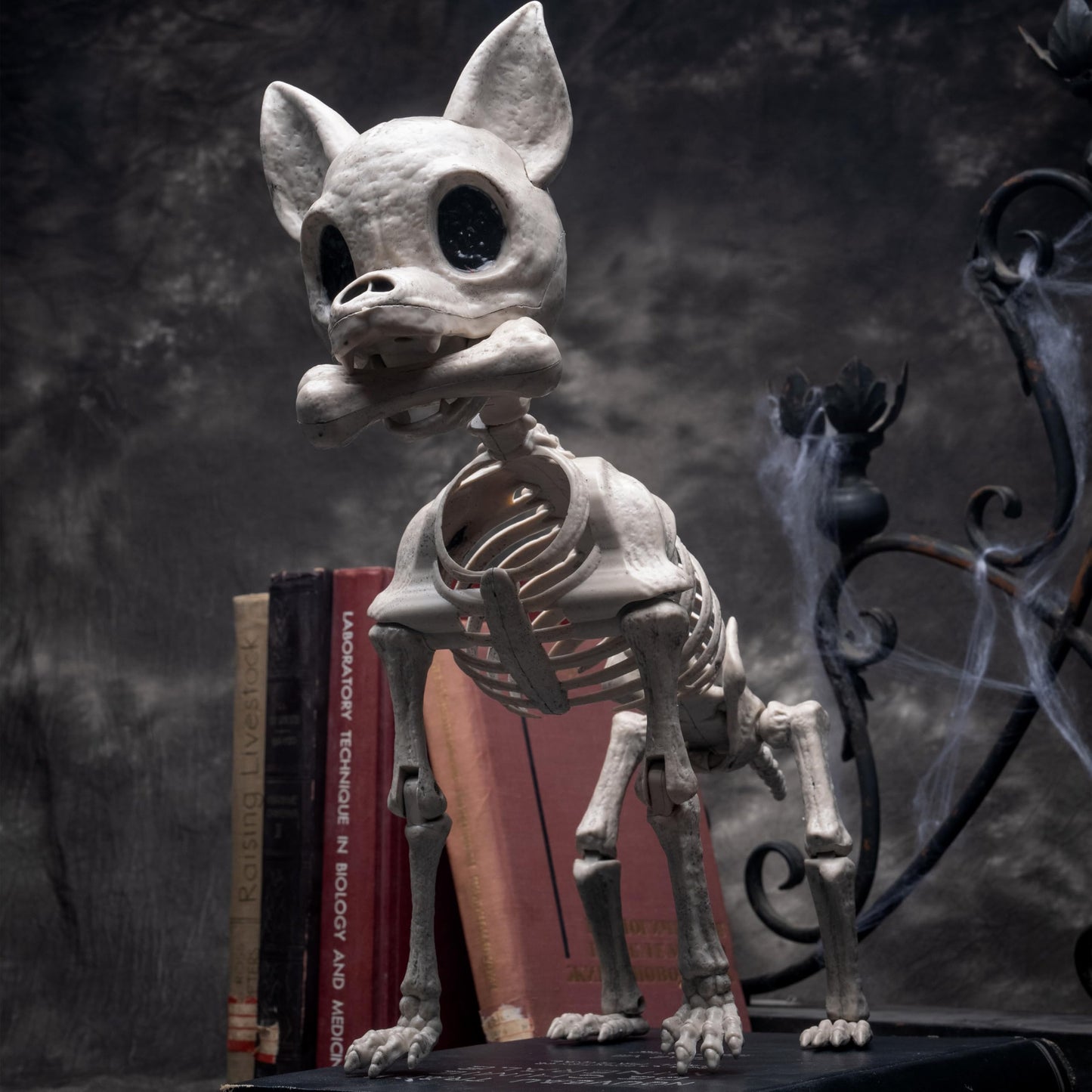 JOYIN Plastic Chihuahua Dog Skeleton Halloween Decorations 12.6 inches Plastic Puppy Bones Skeleton with Posable Joints for Halloween Indoor Outdoor, Graveyard Party Decor