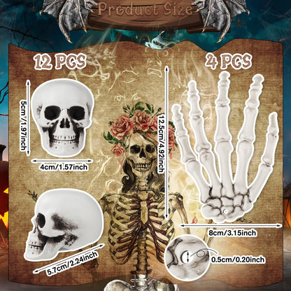 Ferraycle 16 Pieces Halloween Decoration Set Includes 10 Mini Skull Heads and 4 Skeleton Hands Realistic Looking Skulls Plastic Fake Craft Human Hands for Halloween Party Decor Props