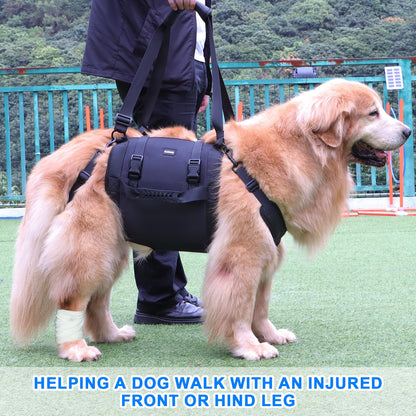 Dog Carry Sling, Emergency Backpack Pet Legs Support & Rehabilitation Dog Lift Harness for Large Dogs, Dog Carrier for Senior Dogs Joint Injuries, Arthritis, Up and Down Stairs (Black, XXL)