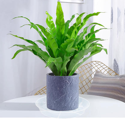Afrine 6 Pack Plant Saucer Drip Tray 7 8 inch, Plant Drainage Trays, Heavy Sturdy Plastic Planter Flower Pot Saucers for Indoor Outdoor Garden, Plant Water Drip Trays for pots (8", Clear)