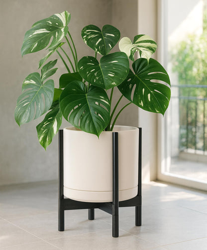 D'vine Dev Ceramic Planter with Ebony Stand - 14 Inch Modern Round Flower Pot with Wood Planter Holder, Oatmeal, 55-B-S-8