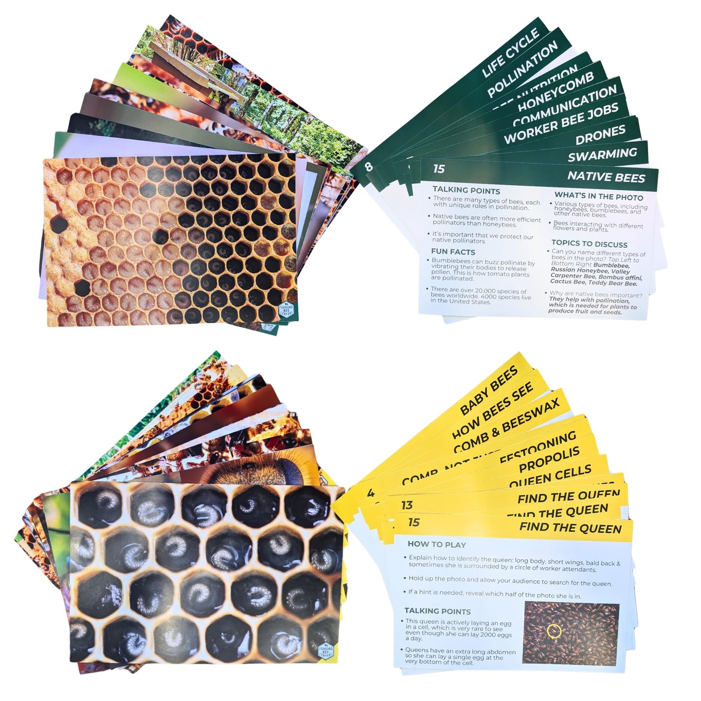 Educational Beekeeping Cards – 12x18 Oversized Beekeeping Flashcards for Teaching Bees and Beekeeping - Classroom and Workshop Learning Tool (Complete Set - Laminated)