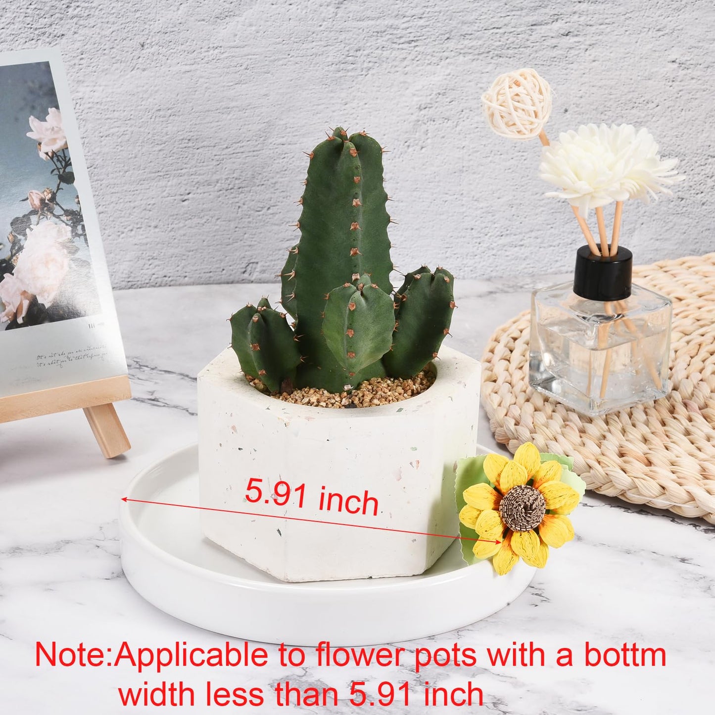MECCANIXITY Plant Pot Saucer 16.5cm Ceramic Round Flower Drip Tray for Indoor Outdoor, White