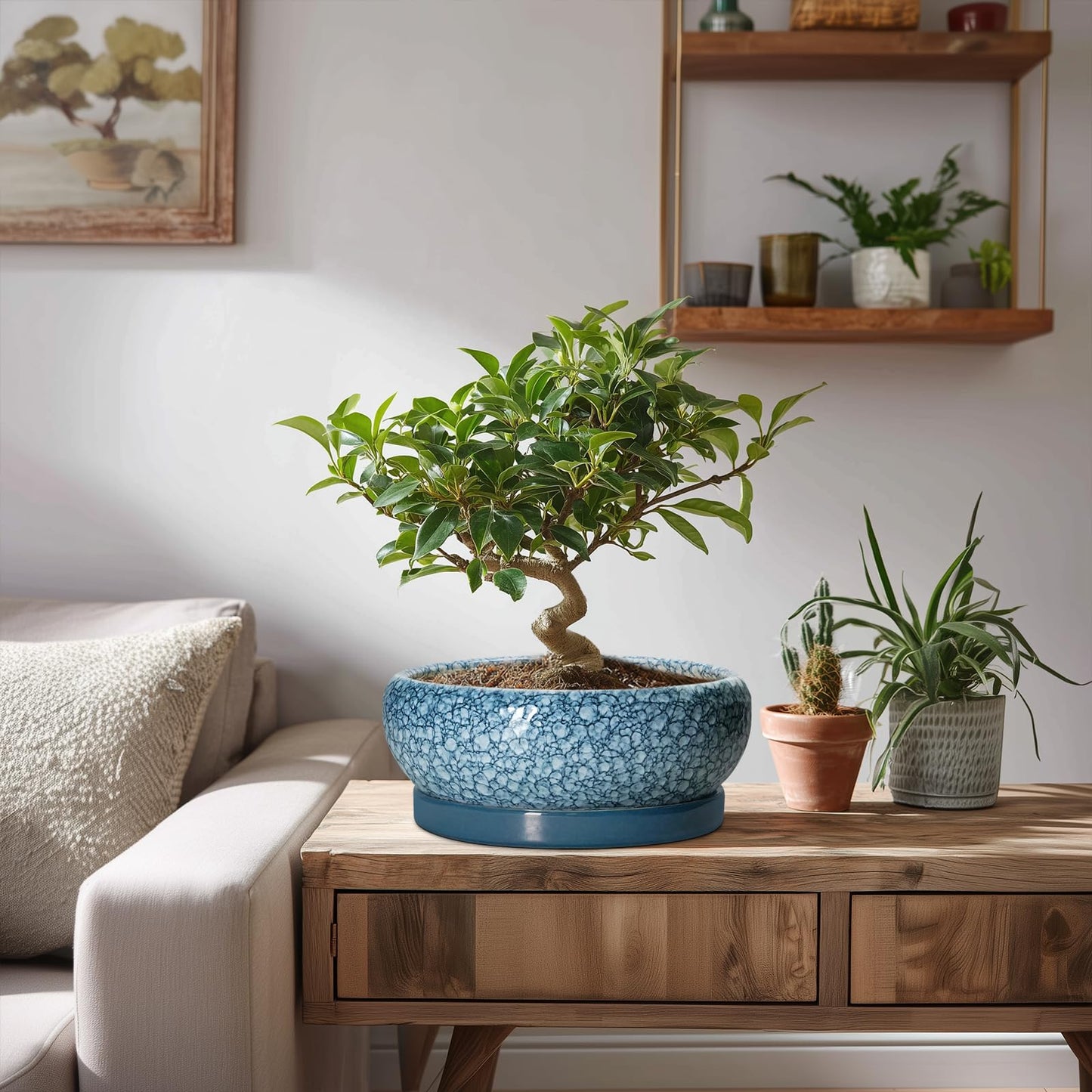 EPFamily Ceramic Bonsai Pots - 8 Inch Succulent Planters Indoor Outdoor, Bonsai Planters with Drainage Hole and Saucer, Shallow Planter, Round Planter Bowl, Home Decor, Gifts for Plant Lovers, Blue
