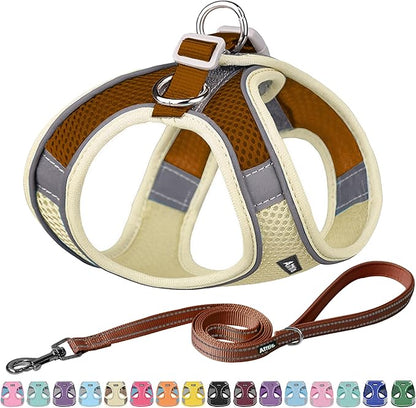 AIITLE Small Harness for Puppy with A Leash - Dog Vest Harness with Super Breathable Mesh, Reflective No-Pull Pet Harness for Outdoor Walking, Running for Small Dogs, Cats Beige XXS