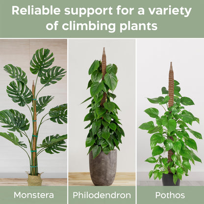 K-Brands 48'' Bendable Moss Pole Monstera Plant Support - Coconut Palm Fiber - Brown - Rectangular - Climbing Plant Support Structure