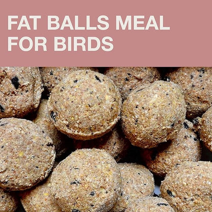SWISSINNO Bird Feeders - No Mess Fat Ball/Suet Feeder for Outdoors Hanging - Smart Birds Lucerne Spill Proof Wild Cardinal Bird Feeder with Integrated Seed Catcher Tray - Dusty Rose