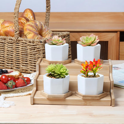 T4U Mini White Succulent Planter Pots with Bamboo Tray Hexagon Set of 12,Tiny Geometric Ceramic Cactus Plant Holder, Plant Gifts for Gardener Women Coworker, Home Office Table Desk Decoration