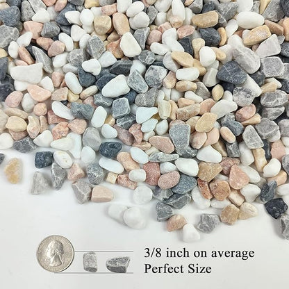 FANTIAN 10 lbs Pebbles for Landscaping, 3/8 Inch Pea Gravel. Decorative Stones Rocks for Succulent, Cactus, Vases, Terrarium, Aquarium, Potted Top Dressing and Outdoor Garden