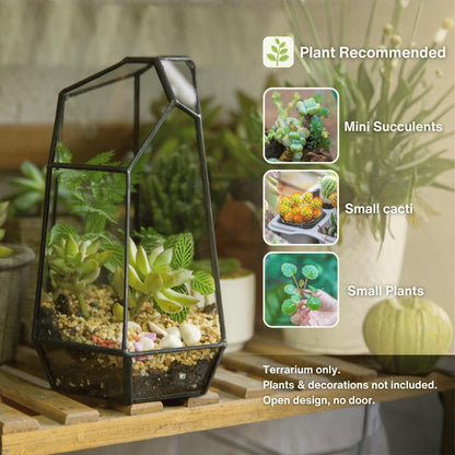 NCYP Small No Door Glass Geometric Terrarium - 4.9 x 3.9 x 7.4 Inches Irregular Clear Terrarium Pot for Mini Succulents, Small Cactus, Indoor Garden Tabletop Decoration (No Plants)