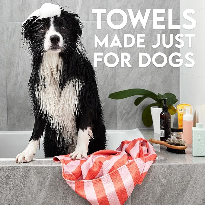 Dock & Bay Pet Towel - Super Absorbent & Quick Drying Dog Towels with Bag - 100% Recycled - Walkies in the Park, Medium (90x50cm, 35x19)