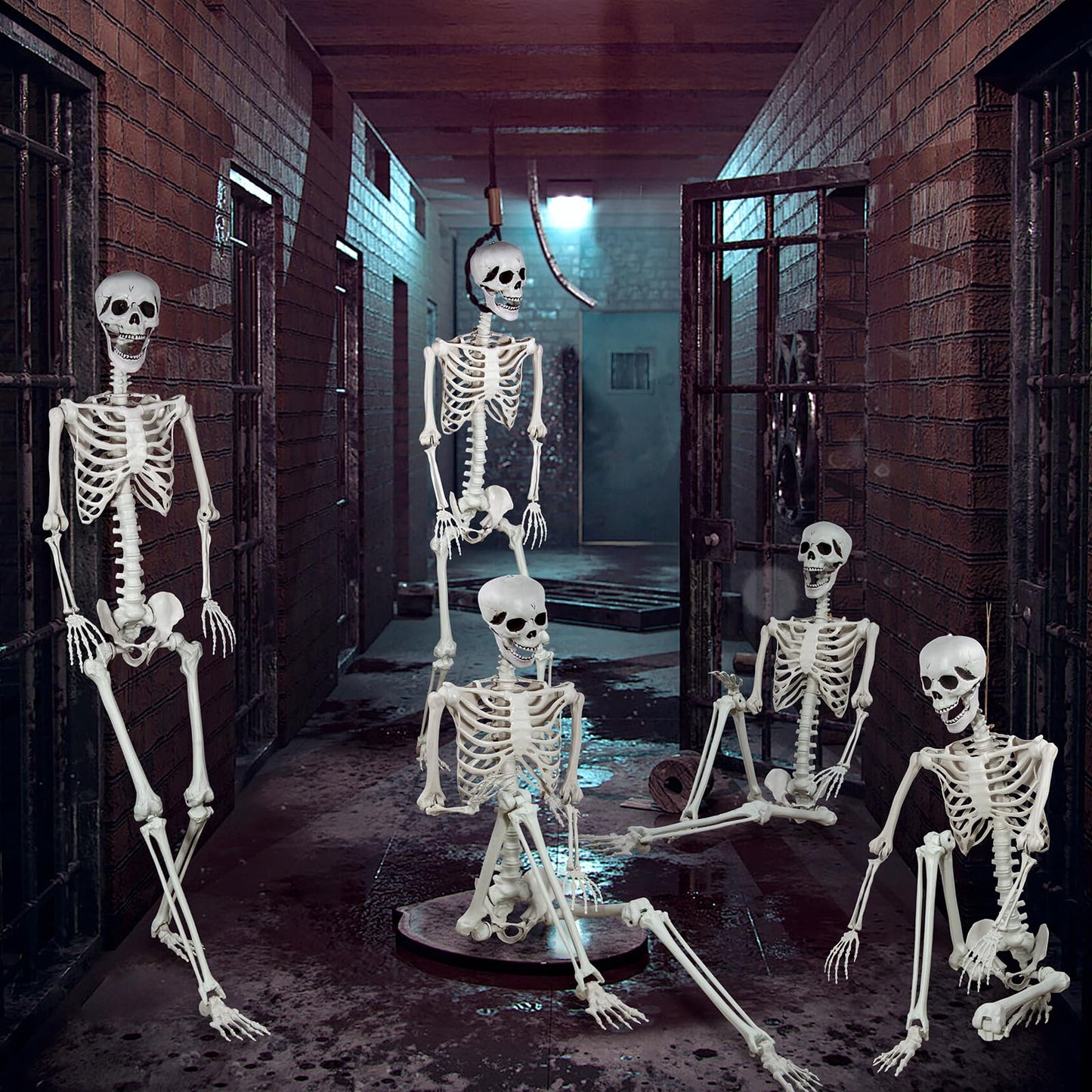 5.9ft Halloween Life Size Skeleton Realistic Full Body Skeletons Plastic Human Bones with Movable Joints for Halloween Props Spooky Party Decoration (2, 5.9ft)