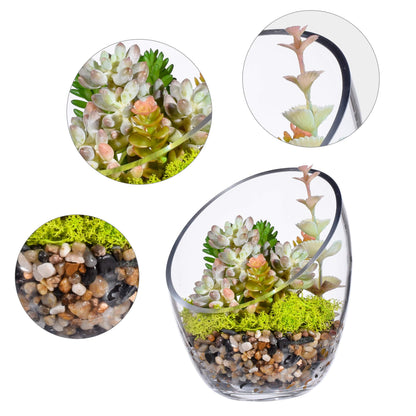 KNIKGLASS Clear Slant Cut Bubble Bowl, Fish Bowl & Plant Terrarium, Candy Jar Slant Cut Globe Vase Center Piece, Round Flower Vase, (6.9“ Tall .5.5“ Wide) …