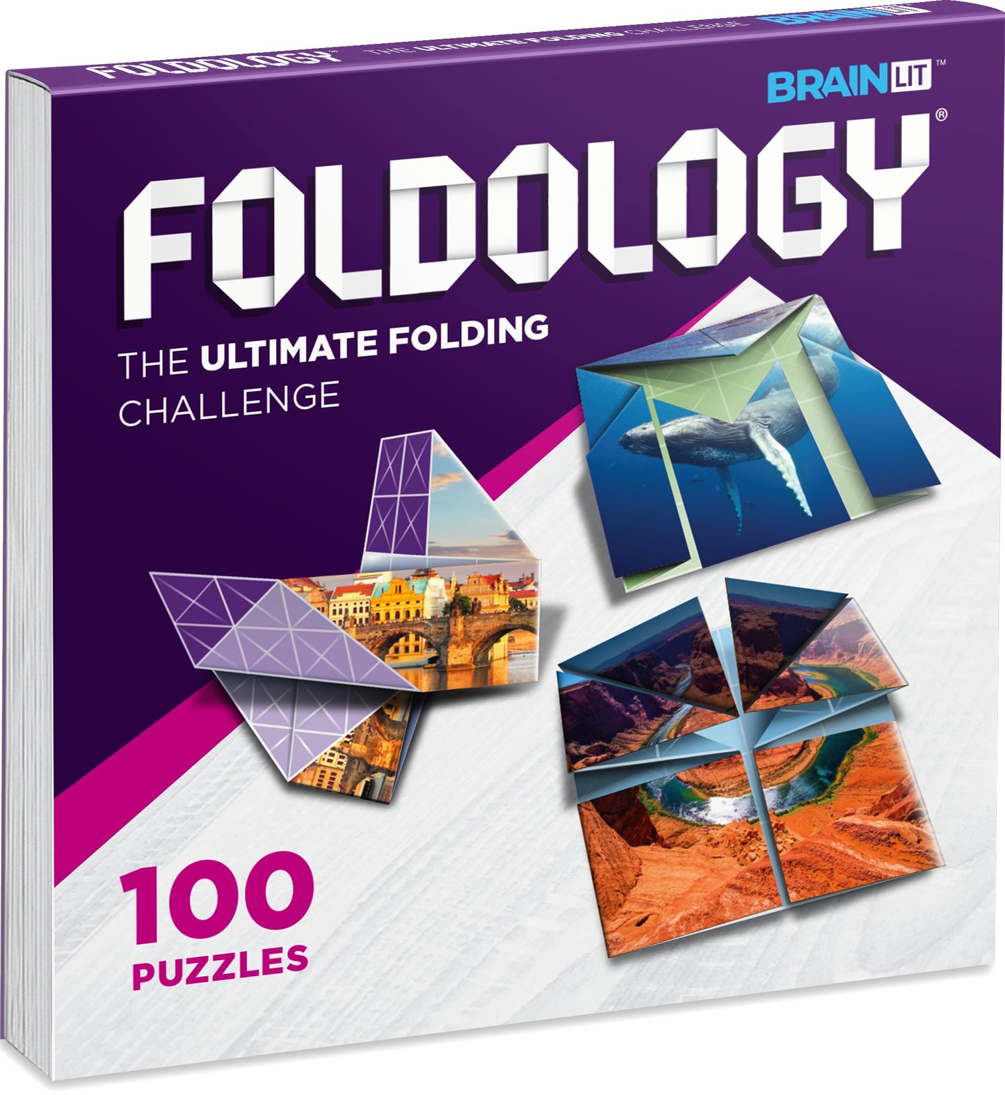 FOLDOLOGY - The Origami Puzzle Game! Brain Teasers for Tweens, Teens & Adults | Travel Game, STEM Toy | Fold the Paper, Complete the Picture | 100 Puzzles | Gift for Ages 10+
