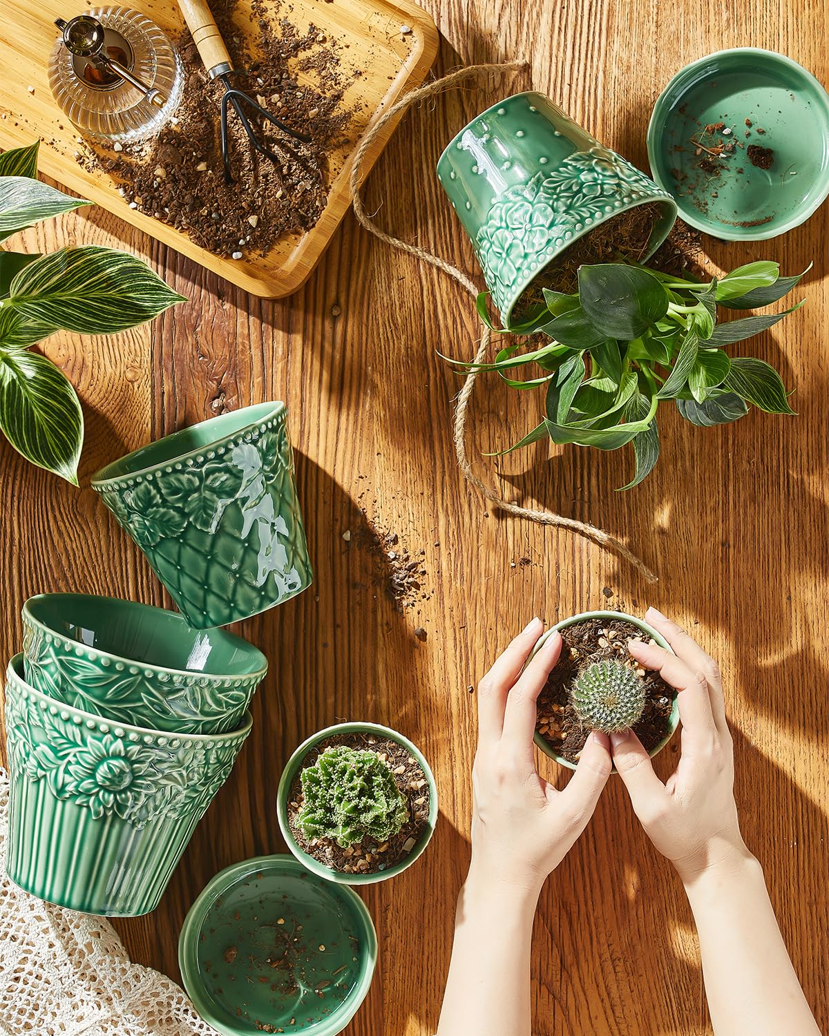 Metahom Succulent Ceramic Pots, 3.8 Inch Small Plant Pots with Drainage Hole & Saucer, Flower Planter Pot for Indoor Plants Cacti, Home Decor, Set of 4, Green