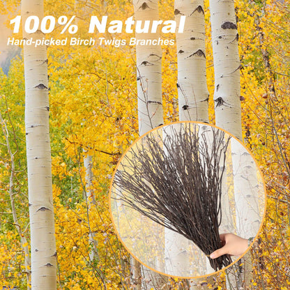 60Pcs Real Dried Birch Twigs Branches - 16” Natural Decorative Birch Branches for Easter Vases, Birch Sticks for DIY, Centerpiece, Floral Arrangment, Twig Wreath, Rustic Home Decor