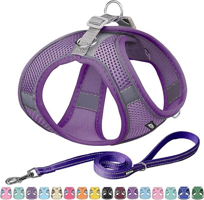 AIITLE Easy Walk Dog Harness and Leash Set - Pet Supply No Pull, Step in Adjustable Dog Harness with Padded Vest, Dog Harness No Choke Over, Easy to Put on Medium Dogs Pure Purple L