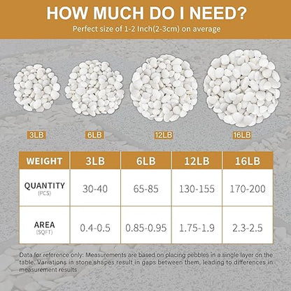 NUPICK 12lb White River Rocks for Plants Indoor, 1-2Inch Pebbles for Vases Fillers, Decorative Gravel for Fish Tank, Natural Polished Stones for Succulent, Bonsai, Landscaping, Bird Baths