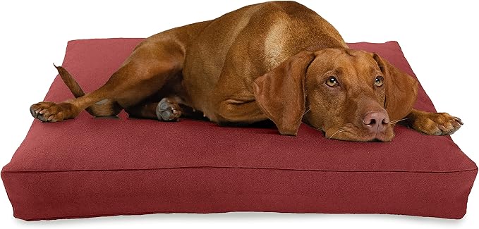 X-Large - 48 x 30 x 5 - Cranberry Premium Organic Hemp Dog Bed - CertiPUR Fill - Removeable Cover