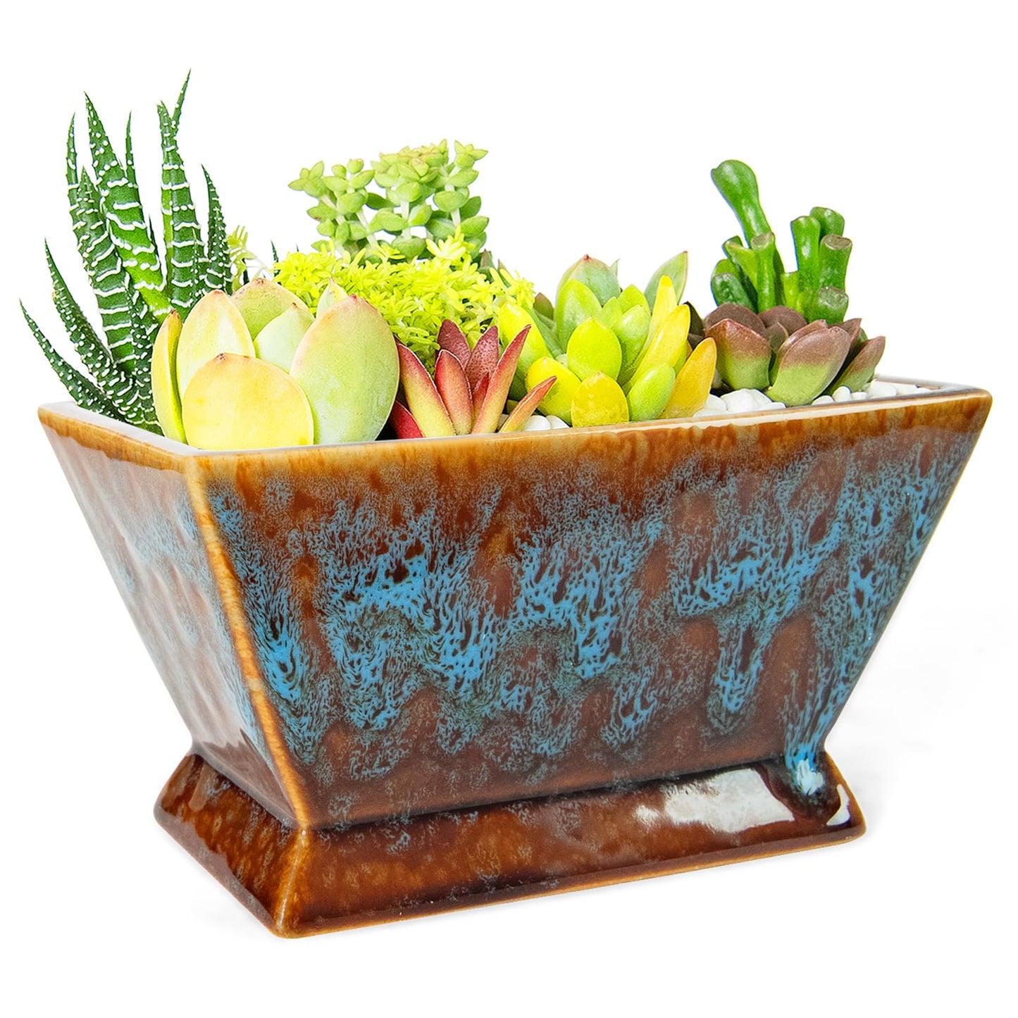 ARTKETTY Succulent Pots - 7 Inch Large Plant Pot with Drainage, Shallow Ceramic Succulent Planters for Indoor Outdoor Plants, Modern Cactus Bonsai Plant Container Decorative Home Office