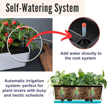 LaLaGreen Bundle- 2-Pack, 16 Inch Rectangular Self Watering Planter + 10-Pack, 5 Inch Black Self Watering Plastic Pot Decorative Eco Living Wall Mount Hanging Garden Windowsill Herb Boxes Indoor Home