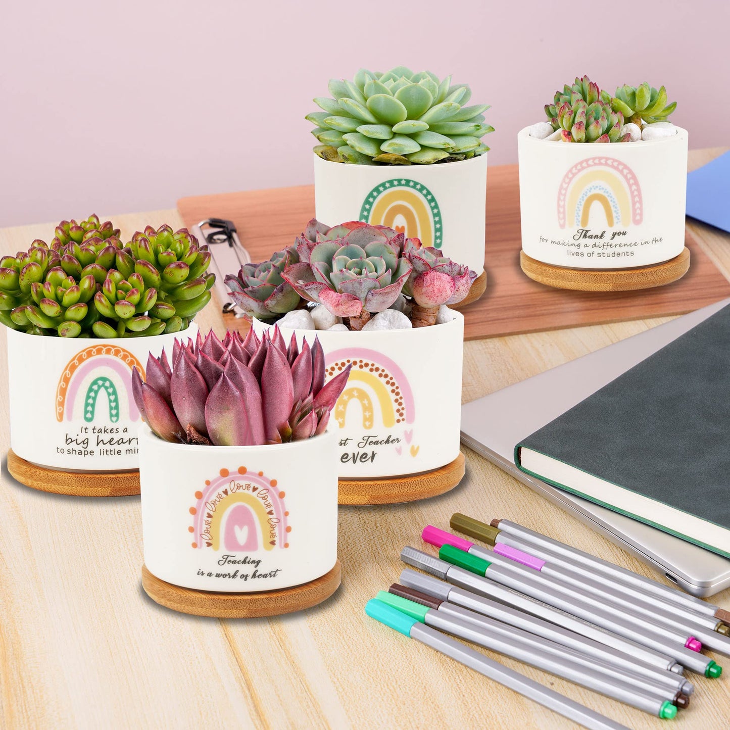 Kolewo4ever 9 Pieces Teacher Appreciation Gifts Ceramic Succulent Plant Pot Small Flower Planter Rainbow Funny Cute Succulent Accessories for Best Teacher Gift Plant Not Included