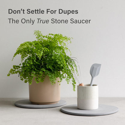 Dorai Home Stone Plant Pots Saucer Set 11.8" - Diatomite Water-Absorbing Trays for Indoor Plants, Ideal for Shelves & Floors | Pack of 2 Large