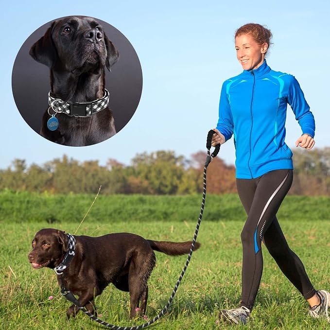 Ladoogo Reflective Dog Collar Padded with Soft Neoprene Breathable Adjustable Nylon Dog Collars for Small Medium Large Dogs (Large (Pack of 1), Black Plaid Collar+Leash)
