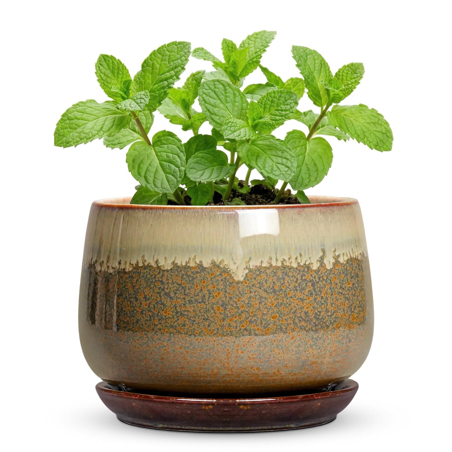 Fivepot Ceramic Pots for Plants - 6 Inch Plant Pot Indoor with Drainage and Saucer, Round Planters for Succulent Snake Plants, Decorative Flower Pot, Home Decor, Plant Lover Gifts, Brown-Beige