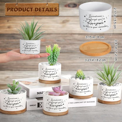 Seewey 12 Pcs Inspirational Succulent Pots Thank You Gift Bulk for Women Employee Teacher Coworker Sometimes You Forget You're Awesome Small Ceramic Plant with Bamboo Trays for Office Staff Graduation