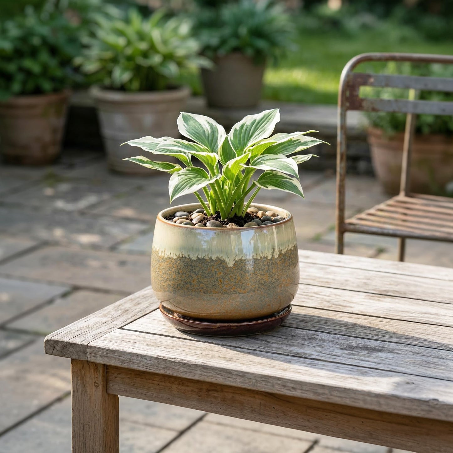 Fivepot Ceramic Pots for Plants - 6 Inch Plant Pot Indoor with Drainage and Saucer, Round Planters for Succulent Snake Plants, Decorative Flower Pot, Home Decor, Plant Lover Gifts, Brown-Beige