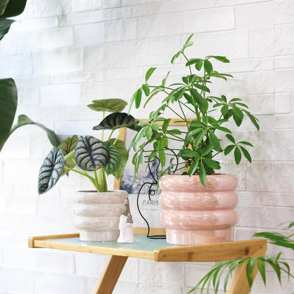YFFSRJDJ 7.8 Inch Ceramic Plant Pots for Indoor Plants, Rainbow Pearl Glaze Planter with Planters for Plants with Drainage Hole, Orchid Pots, Succulent Pot, Flower Pot (Pink)