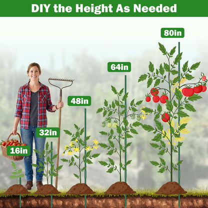 Tegarbed Garden Stakes 20 Pack, 16 Inch Plastic Coated Metal Plant Support Stakes, Sturdy Tomato Stakes with 14 Connectors 14 Rotatable Clips 14 Plant Clips for Indoor Outdoor Vegetables