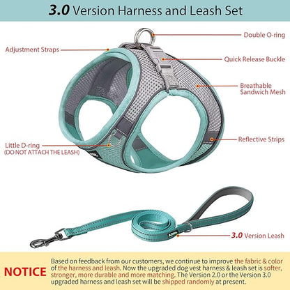 AIITLE Easy Walk Dog Harness and Leash Set - Pet Supply No Pull, Step in Adjustable Dog Harness with Padded Vest, Dog Harness No Choke Over, Easy to Put on Medium Dogs Turquoise L