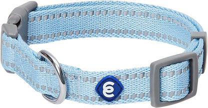 Blueberry Pet Dog Leash & Collar Set - Puppy Essentials, Gentle Leader for Dogs, Adjustable for Small Dogs, Reflective Safe Walking Gear, Fashion for Girl Dog Owners, Heavy Duty Leashes