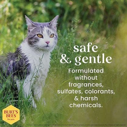 Burt's Bees for Pets Hypoallergenic Cat Shampoo with Shea Butter and Honey, Gentle Formula for Indoor Cats with Dry or Sensitive Skin, pH Balanced, Fragrance-Free, 10 Fl Oz - 6 Pack